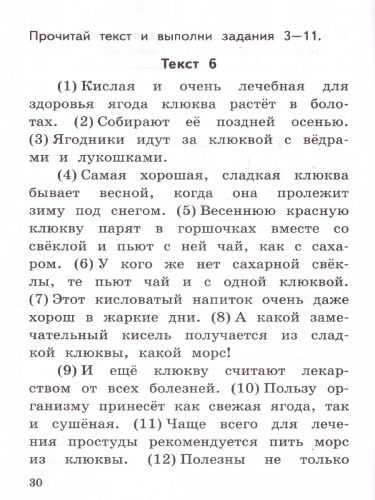 ВПР Русский язык 2 класс. Тренажер. ФГОС Новый