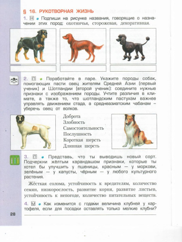 Окружающий мир 4 класс. Рабочая тетрадь. Человек и природа. Часть 1. ФГОС