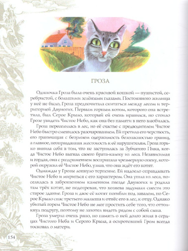 Коты-воители. Подарок. Память племен
