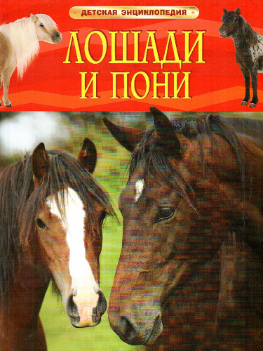 Лошади и пони