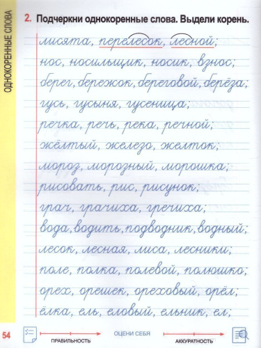 Русский язык 2 класс. Комплексный тренажер