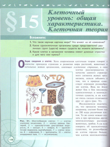 Биология 10 класс. Базовый уровень. Учебник. УМК "Линия жизни" (ФП2022)