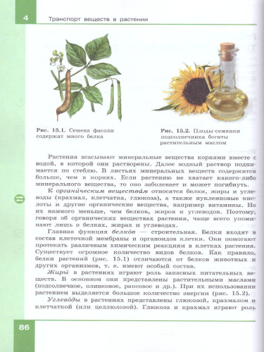 Биология 6 класс. Учебник