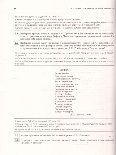ОГЭ-2026 Литература. Тренировочные варианты. 25 вариантов