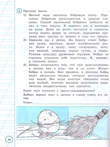 ВПР Литературное чтение 3 класс. Практикум по выполнению типовых заданий. 10 вариантов
