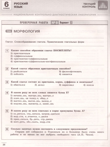 Русский язык 6 класс. Текущий контроль