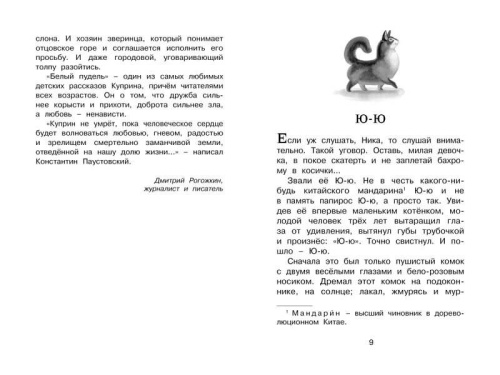 Белый пудель