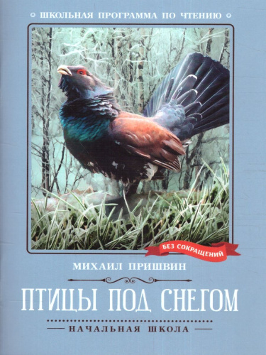 Птицы под снегом: рассказы