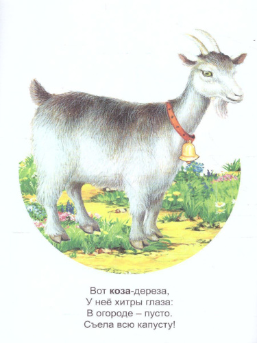 Раскраска Малышок "Домашние питомцы"