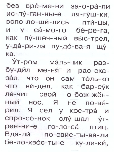 Барсучий нос /Сам читаю по слогам