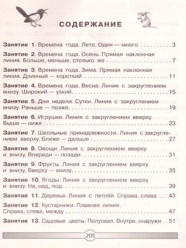 Большой курс подготовки к школе