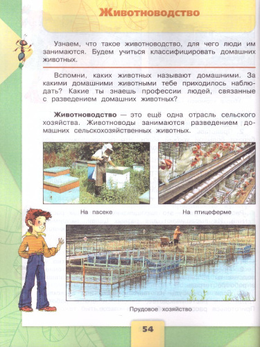 Окружающий мир 3 класс. Учебник в 2-х частях. Часть 2. ФГОС