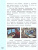 Информатика. 4 класс. Учебник. В 2 ч. Часть 2