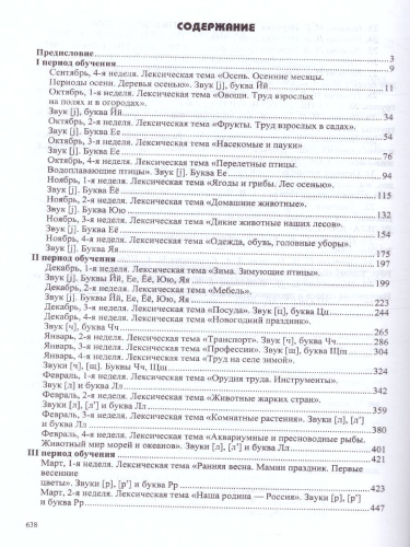 Конспекты подгрупповых логопедических занятий в группе компенсирующей направленности ДОО для детей с тяжелыми нарушениями речи с 6 до 7 лет. Комплект с DVD