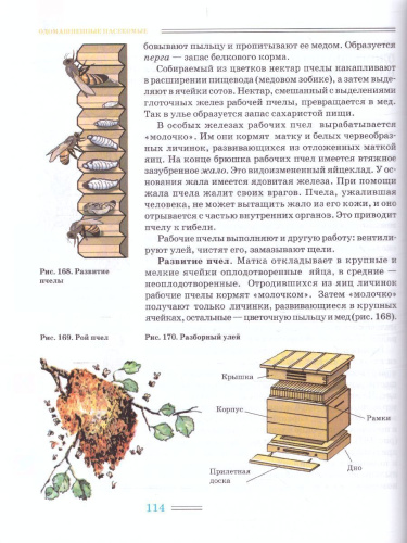 Биология 8 класс. Животные