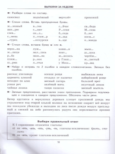 Тренировочные примеры по русскому языку 4 класс. Повторение