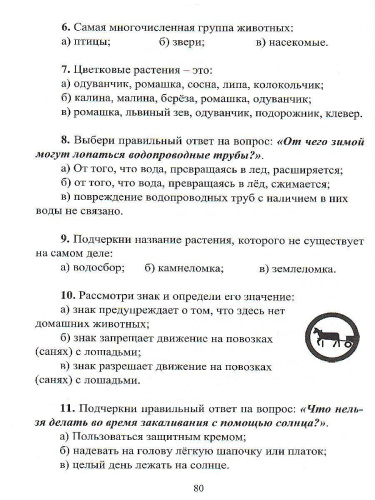 Подготовка к олимпиадам разного уровня. Математика, Русский язык, Окружающий мир, Литературное чтение 3 класс + CD