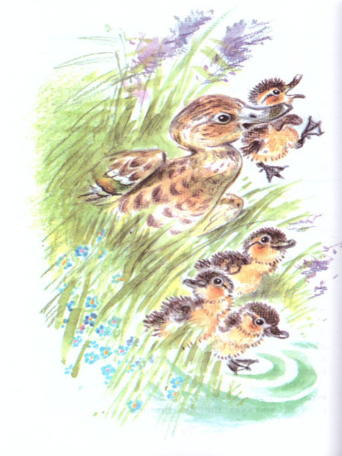 Рассказы о животных