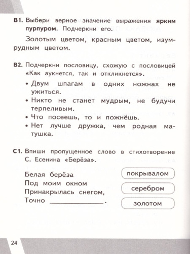 ВПР Литературное чтение 2 класс. Контрольные измерительные материалы. ФГОС