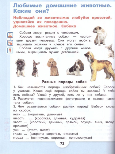 Изобразительное искусство 2 класс. Учебник. Для обучающихся с интеллектуальными нарушениями. ФГОС
