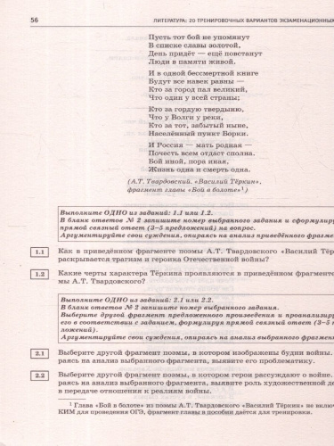 ОГЭ-2025 Литература. 20 тренировочных вариантов экзаменационных работ для подготовки к ОГЭ