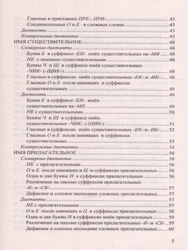 Русский язык 5, 6, 7, 8, 9 класс. Диктанты. ФГОС