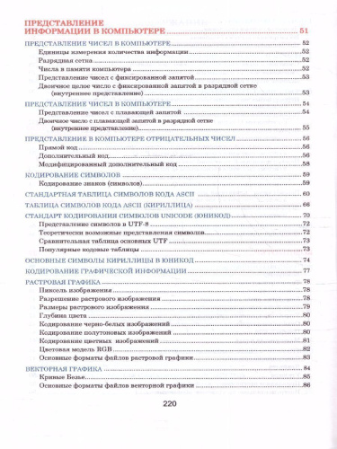 Информатика. Наглядный школьный курс