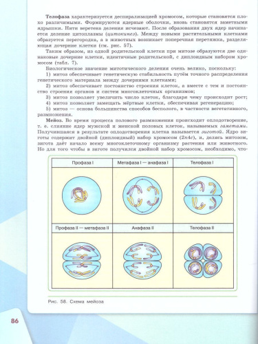 Биология 10 класс. Базовый уровень. Учебник (ФП2022)