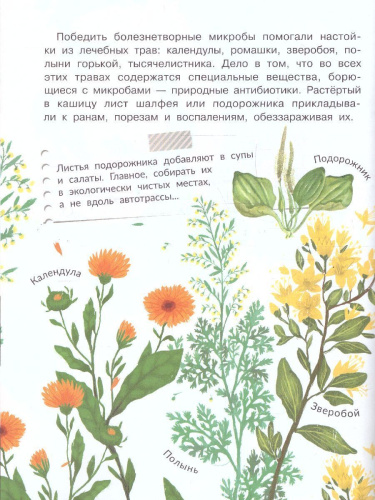 Почему мы болеем? /СамЛучшПочемучкиныКнижки