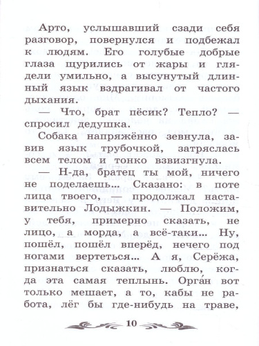 Белый пудель