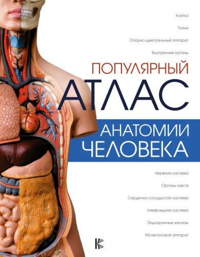 Популярный атлас анатомии человека / АтласЧеловека