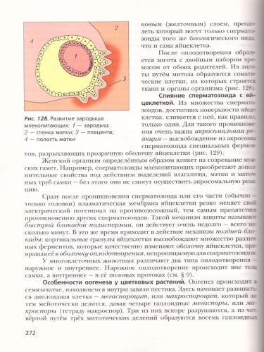 Биология 11 класс. Учебник. Углубленный уровень. ФГОС