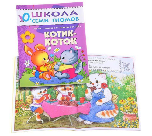 Школа Семи Гномов Первый год. Котик-коток