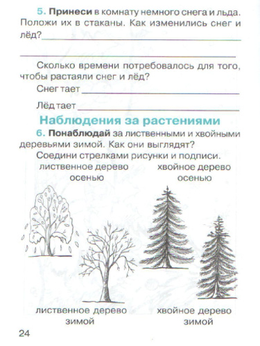 Дневник наблюдений 3 класс