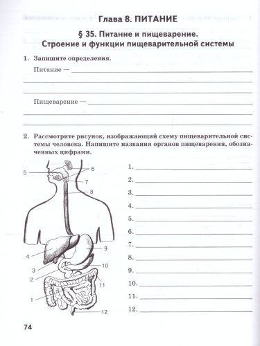 Биология 8 класс. Рабочая тетрадь ФГОС