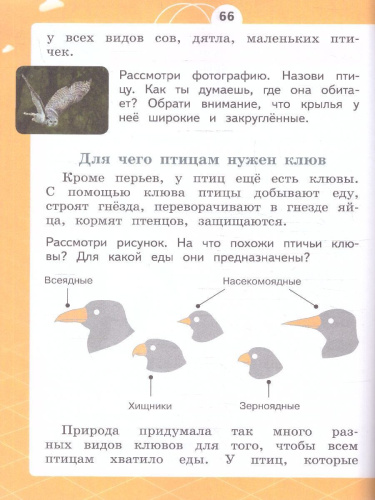 Естествознание 1 класс. Азбука экологии. Учебник