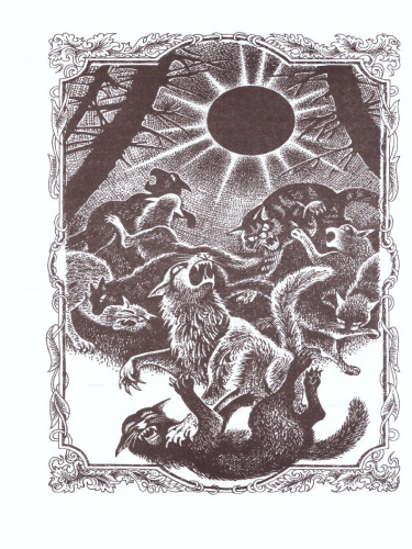 Цикл "Сила трех". Затмение / Коты-воители