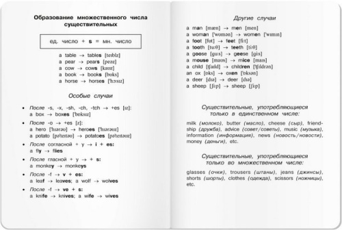 Тетрадь для записи английских слов в начальной школе "Мишка"