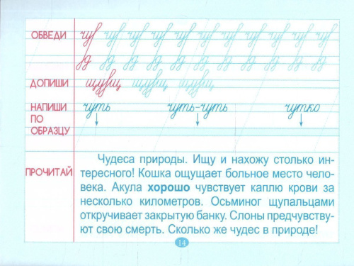 Тренажёр по чистописанию. Подготовка к контрольному списыванию 2 класс