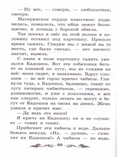 Птицы под снегом: рассказы