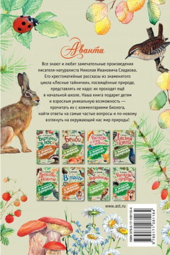 Лесные тайнички