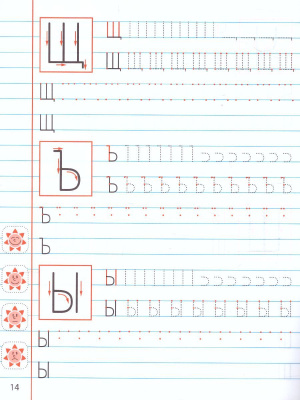 55618852-2