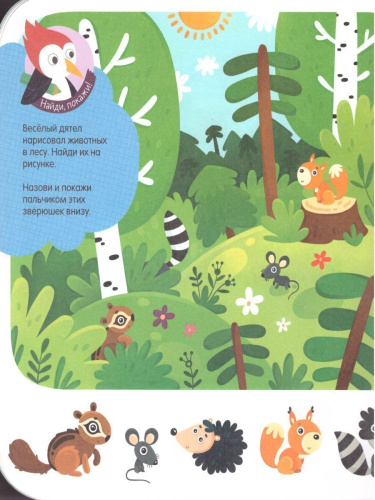 Дикие животные