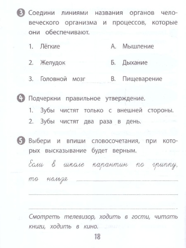Тренажёр. Окружающий мир 2 класс