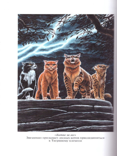 Коты-воители. Золотая коллекция. Опасная тропа. Битва за лес (новое оформление)