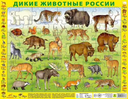 Детский пазл на подложке. Дикие животные России. (36х28 см, 63 элемента)