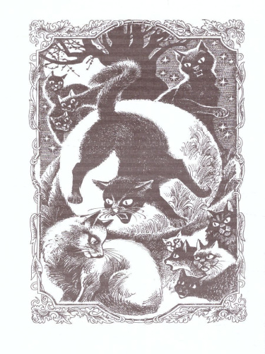 Цикл "Сила трех". Восход солнца / Коты-воители