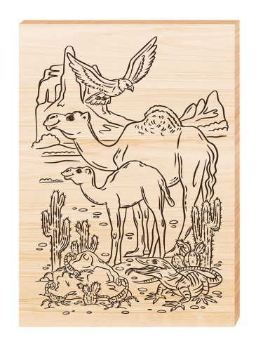 Выжигание. Доска для выжигания 1 шт "Пустынный край" А4 (европодвес)(Десятое королевство)