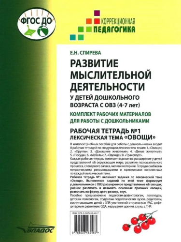 Развитие мыслительной деятельности у детей дошкольного возраста с ОВЗ (4-7 лет). Рабочая тетрадь № 1