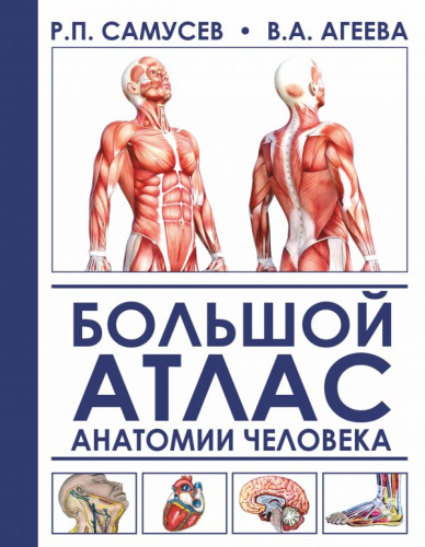 Атлас. Большой атлас анатомии человека